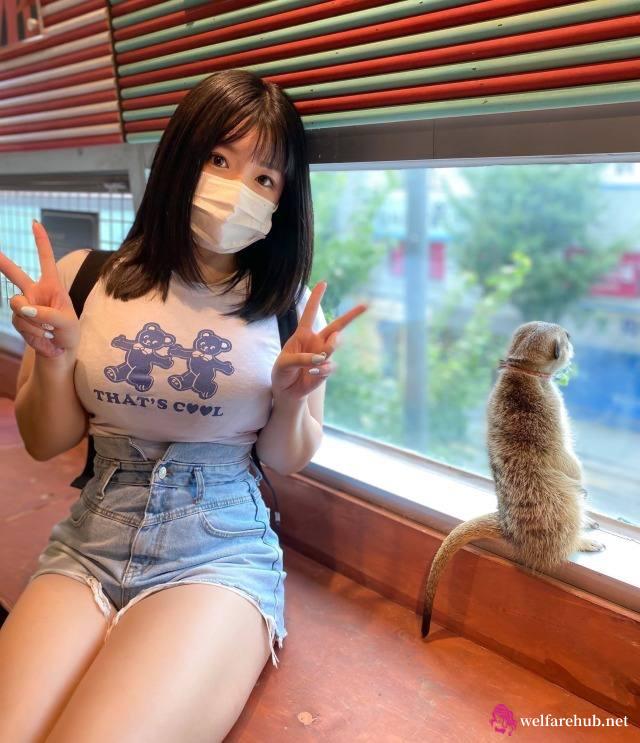 黑料女神系统小说免费阅读！空军基地与机场的区别